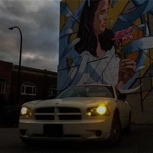 Meet your Posher, Jake